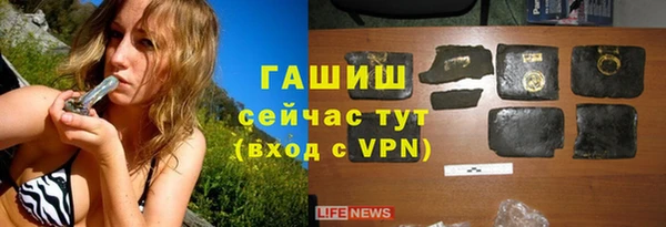 молекула духа Пестово