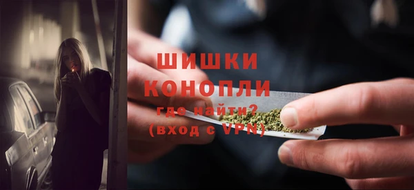 гашик Пересвет