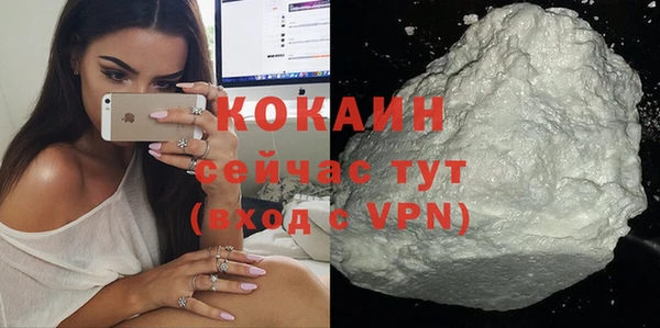 молекула духа Пестово