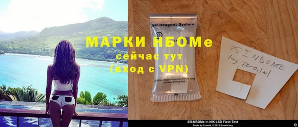гашик Пересвет