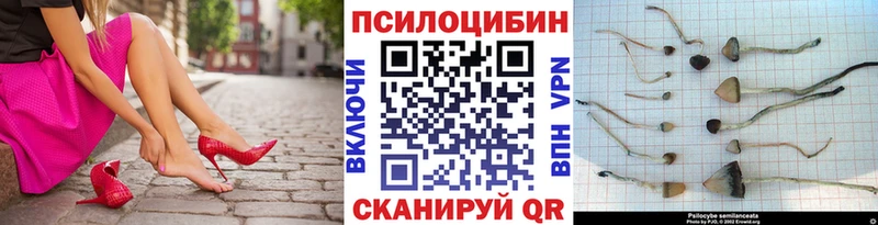 OMG ТОР  Томилино  Псилоцибиновые грибы мицелий 